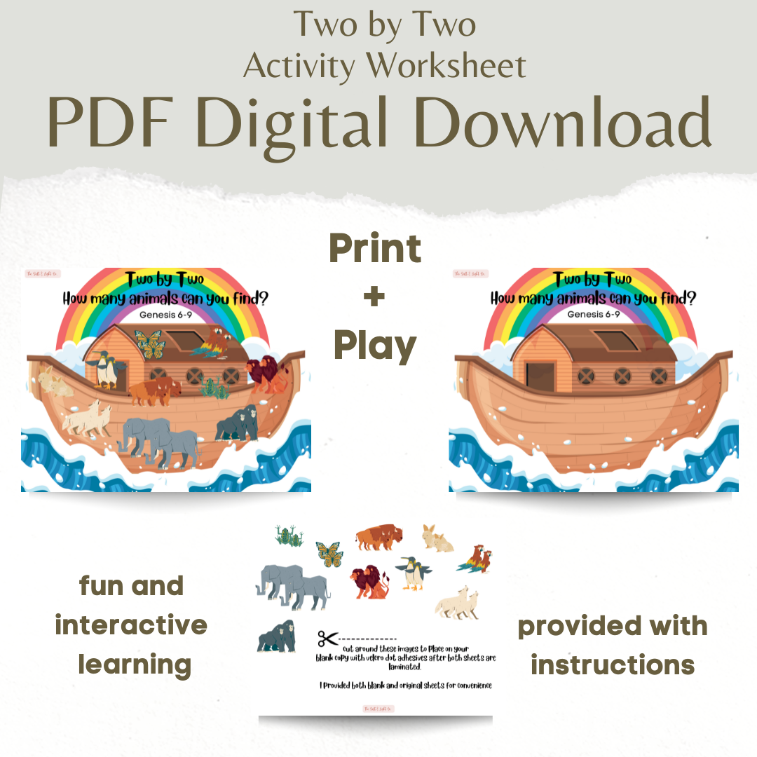 Two by Two Ark Activity Sheet